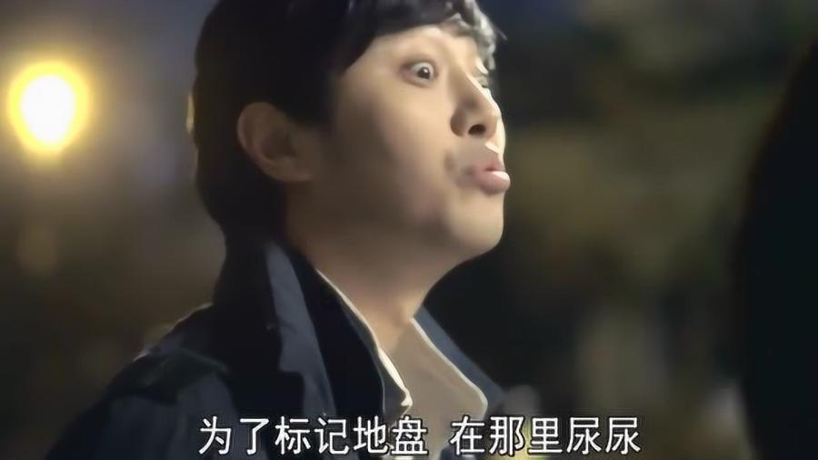 驱灵师