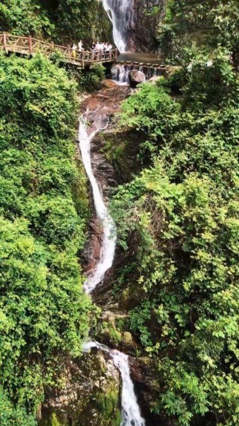 LE SSERAFIM出发来台包紧紧！宫胁咲良性感露细腰　摄影机场认人